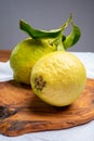 Lemon citron cedrate or Citrus medica, large fragrant citrus fruit with thick rind