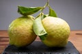 Lemon citron cedrate or Citrus medica, large fragrant citrus fruit with thick rind