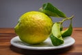 Lemon citron cedrate or Citrus medica, large fragrant citrus fruit with thick rind Royalty Free Stock Photo