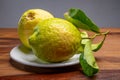 Lemon citron cedrate or Citrus medica, large fragrant citrus fruit with thick rind Royalty Free Stock Photo