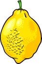 Lemon citrus fruit cartoon illustration