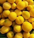 Heap of lemons citrus fruit juicy shining organic citron whole fruits raw limon food neemboo closeup view limao photo
