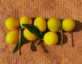 Lemon citrus fruit fresh juicy shining organic whole lemons fruits raw limon food neemboo citron closeup view limao photo