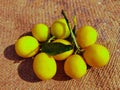 Whole ripe lemon citrus fruit citron fresh juicy shining organic lemons fruits raw limon food neemboo closeup view limao photo