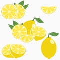 Lemon. Citrus fruit with leaf - whole, half, slice. Vector.