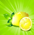 Lemon citrus fruit. Vector.