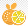 Lemon citrus half slice or Citric acid flat icons on a transparent background