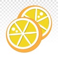 Lemon citrus half slice or Citric acid flat icons on a transparent background