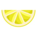 Lemon Citrus Illustration Royalty Free Stock Photo