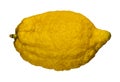 Lemon citrus isolated on white Royalty Free Stock Photo