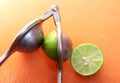 Lemon with citrus juicer Royalty Free Stock Photo