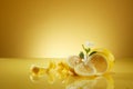 Lemon (Citrus limon) is known as a natural skin brightener Royalty Free Stock Photo