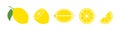 Lemon citrus. Vector isolated illustration. Isolated citrus fruit set. Citrus vector collection Royalty Free Stock Photo