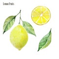 Lemon clipart set. Watercolor illustration. Lemon fruit, lemon slice, green leaves. Ideal for packaging eco products, scrapbooking