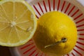 A lemon close up on top of a juicer