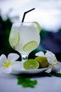 Lemon cocktail Royalty Free Stock Photo