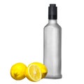 Lemon and cold bottle vodka Royalty Free Stock Photo
