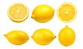 Lemon collection isolated on transparent background. Top view. Flat lay.