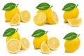 Lemon fruit leaf