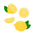 Lemon. Collection of whole and sliced lemon fruits. Vector illustration