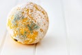 Lemon covered mold. White wooden background. Copy space.