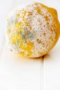 Lemon covered mold. White wooden background. Copy space.