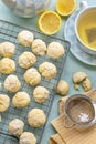 Lemon crinkle biscuits cookies with powdered sugar Royalty Free Stock Photo