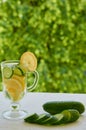 Lemon cucumber water in the glass on the blurred nature background with copy space. Summer cold cocktails with ice and cucumber Royalty Free Stock Photo