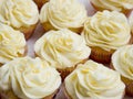 Lemon cupcakes Royalty Free Stock Photo