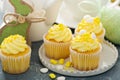 Lemon cupcakes for Easter Royalty Free Stock Photo