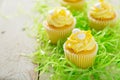Lemon cupcakes for Easter Royalty Free Stock Photo
