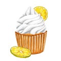 Lemon cupcakes with white butter cream and slice of lemon. Watercolor illustration sweet muffin isolated on white