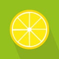 Lemon cut circle. Image for healthcare design. Natural organic nutrition. Vector illustration. stock image.