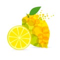 Lemon cut citrus soda Royalty Free Stock Photo