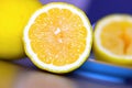 Lemon cut in half lying on the kitchen table, tropical fruit. Vitamin C.