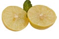 Lemon cut in two halves in white background Royalty Free Stock Photo