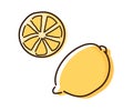 Lemon doodle sketch illustration. Vector hand drawn outline fruit