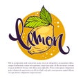 Lemon drinks vector illustration for your label, emblem,