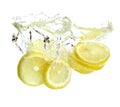 Lemon is dropped into water Royalty Free Stock Photo