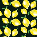 Lemon element. concept vivid back fashion backdrop Royalty Free Stock Photo