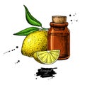 Lemon essential oil bottle and lemon fruit hand drawn vector ill Royalty Free Stock Photo