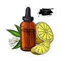 Lemon essential oil bottle and lemon fruit hand drawn vector ill Royalty Free Stock Photo