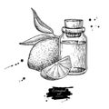 Lemon essential oil bottle and lemon fruit hand drawn vector illustration. Isolated drawing for Aromatherapy treatment, Royalty Free Stock Photo