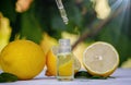 lemon essential oil and lemon fruit on a wooden white board Royalty Free Stock Photo