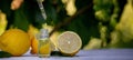 lemon essential oil and lemon fruit on a wooden white board Royalty Free Stock Photo