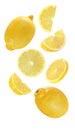 Lemon falling, hanging, flying whole and half piece of fruits isolated on white background with clipping path