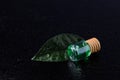 Lemon flavor of emerald color in a glass bottle with a wooden stopper on a green leaf with water droplets Royalty Free Stock Photo