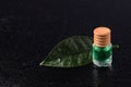 Lemon flavor of emerald color in a glass bottle with a wooden stopper on a green leaf with water droplets Royalty Free Stock Photo