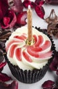 Lemon flavoured cupcake with a birthday candle Royalty Free Stock Photo