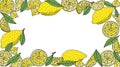 Lemon frame hand drawn. Yellow whole lemons and slices and quarter and green leaves of lemon tree. Vector illustration